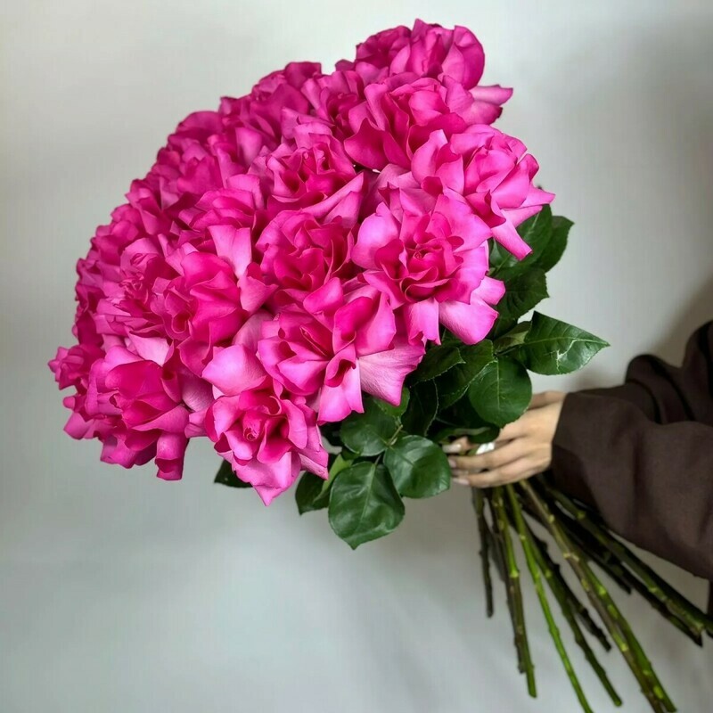 25 rozovih frantcuzskih roz, standart