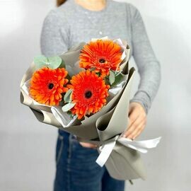 Чистое наслаждение 