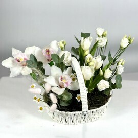 Klubnika so slivkami