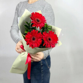 Krasnie gerberi