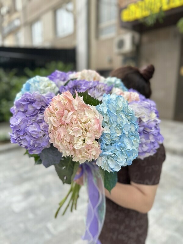 Сладкая зефирка , сладкая зефирка