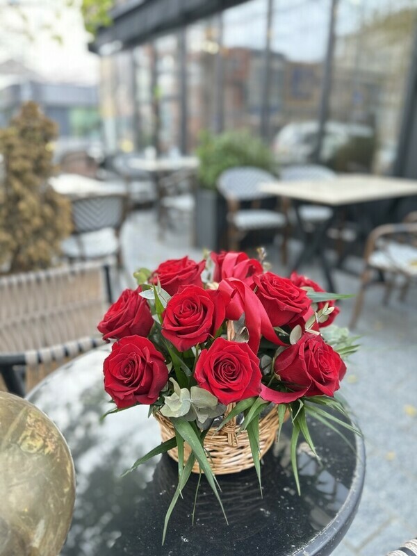 Ночной сюрприз , ночной сюрприз 