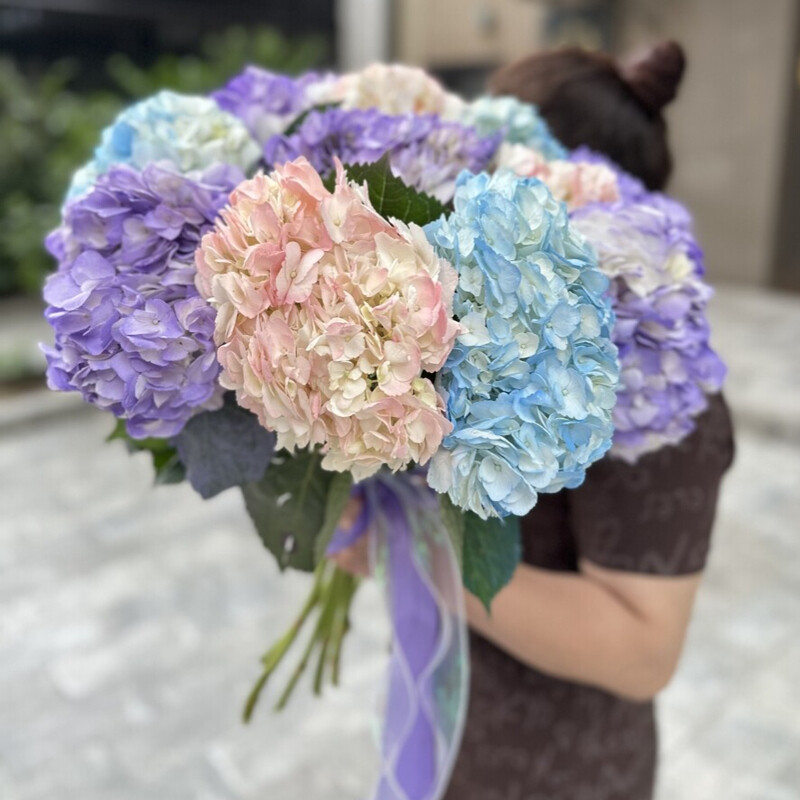 Sladkaya zefirka, sladkaya zefirka