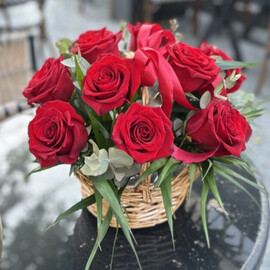 Ночной сюрприз 