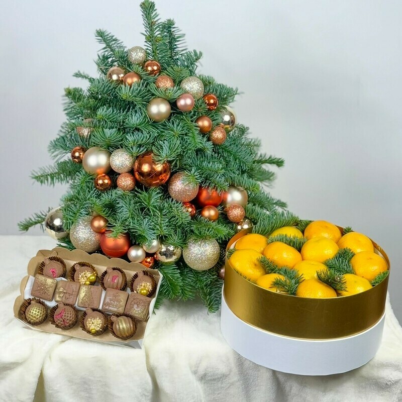 Приключения начинаются....., премиум