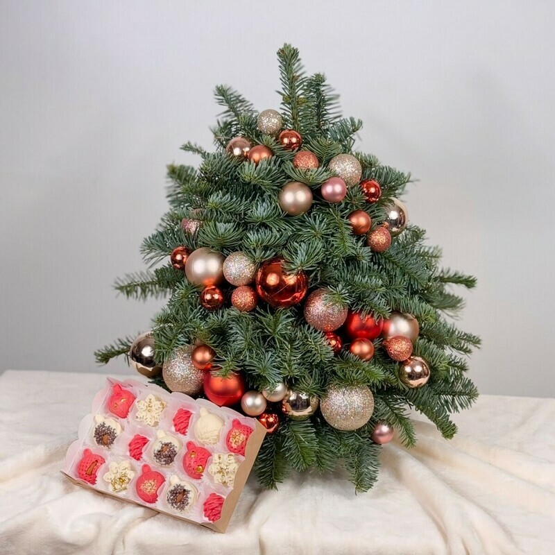 Obeshanie volshebstva, standart