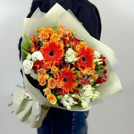 Новая весна 