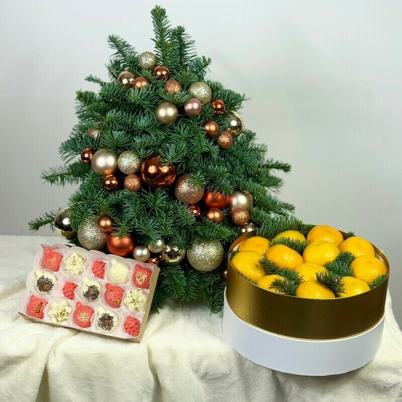 Вдохновляясь серебром зимы , премиум