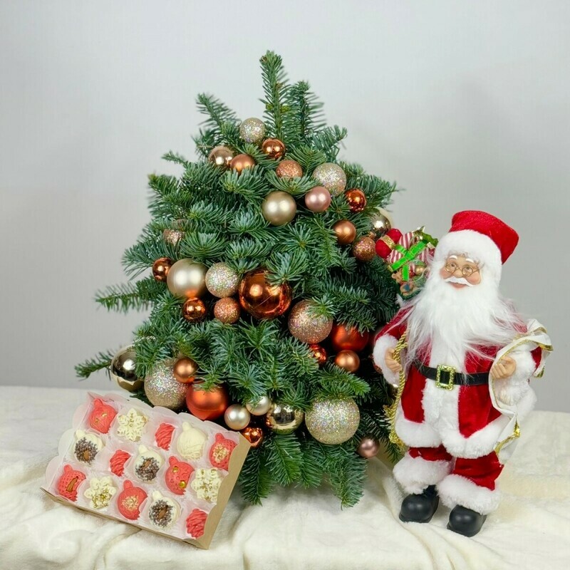 Вера в чудеса , премиум