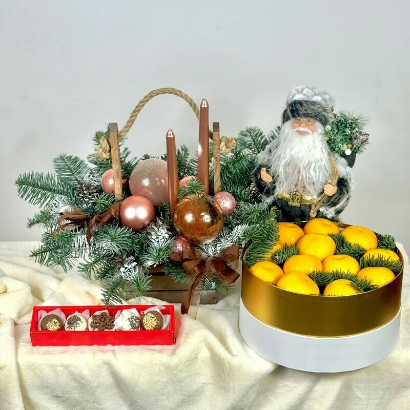 Магия зимы , премиум