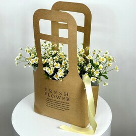 таинственная ночь 