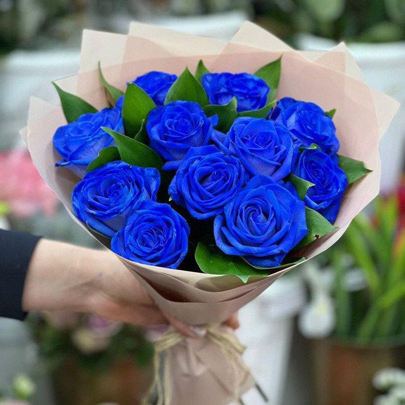 Синички, стандартный