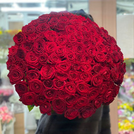 101 Красная роза.