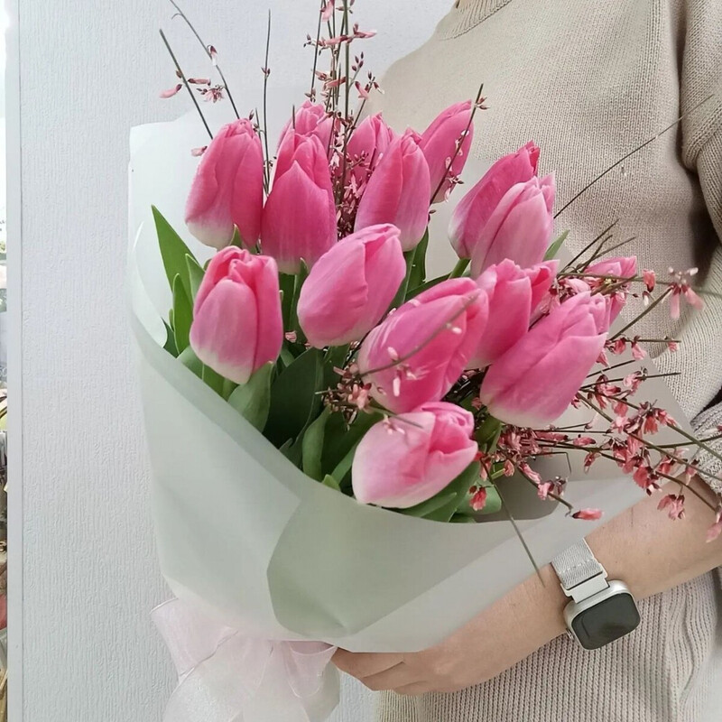 Тюльпаны/Гениста, стандартный