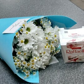 Bacardi/Tanacetum/Raffaello