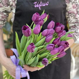 Тюльпан фиолетовый(25 шт.)