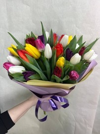 Tyul_pan miks(25sht.)