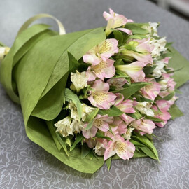 Альстромерия(13шт.)