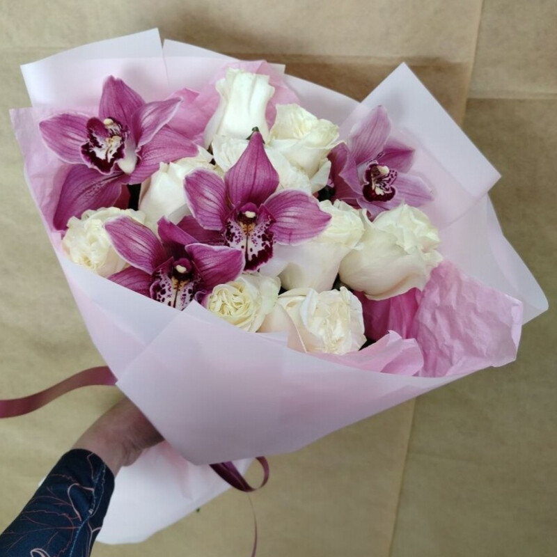 Rozi/TCimbidium, standart