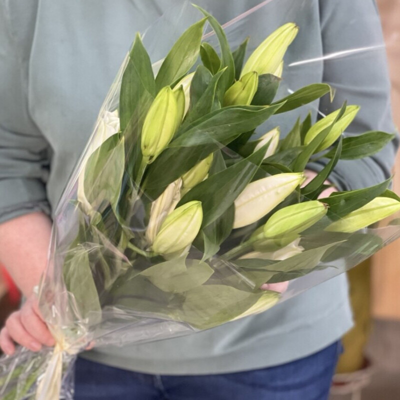 Белая Лилия(5шт.), стандартный