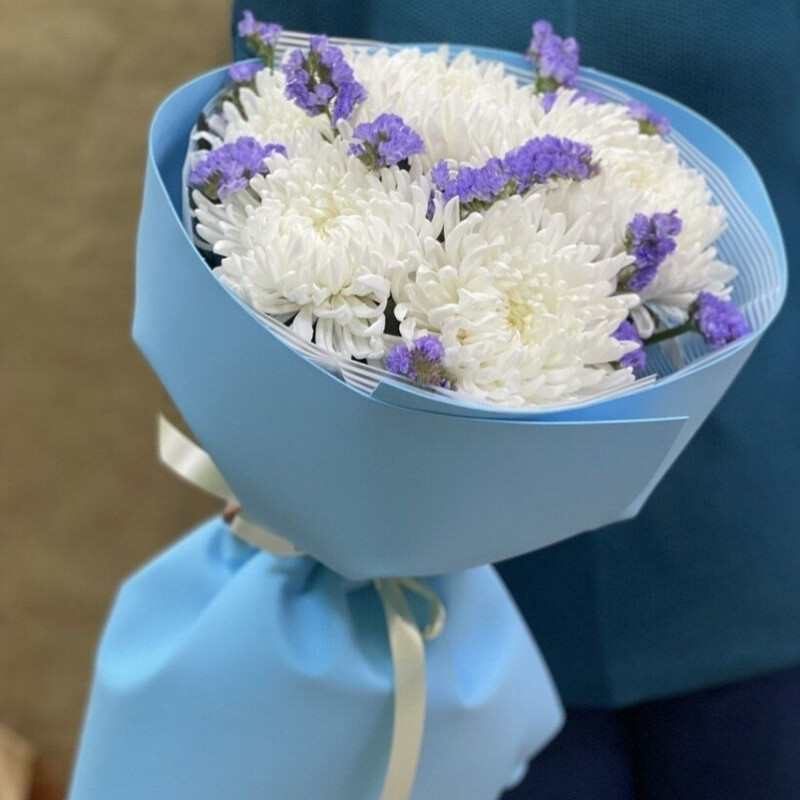 Магнум/Статица, стандартный