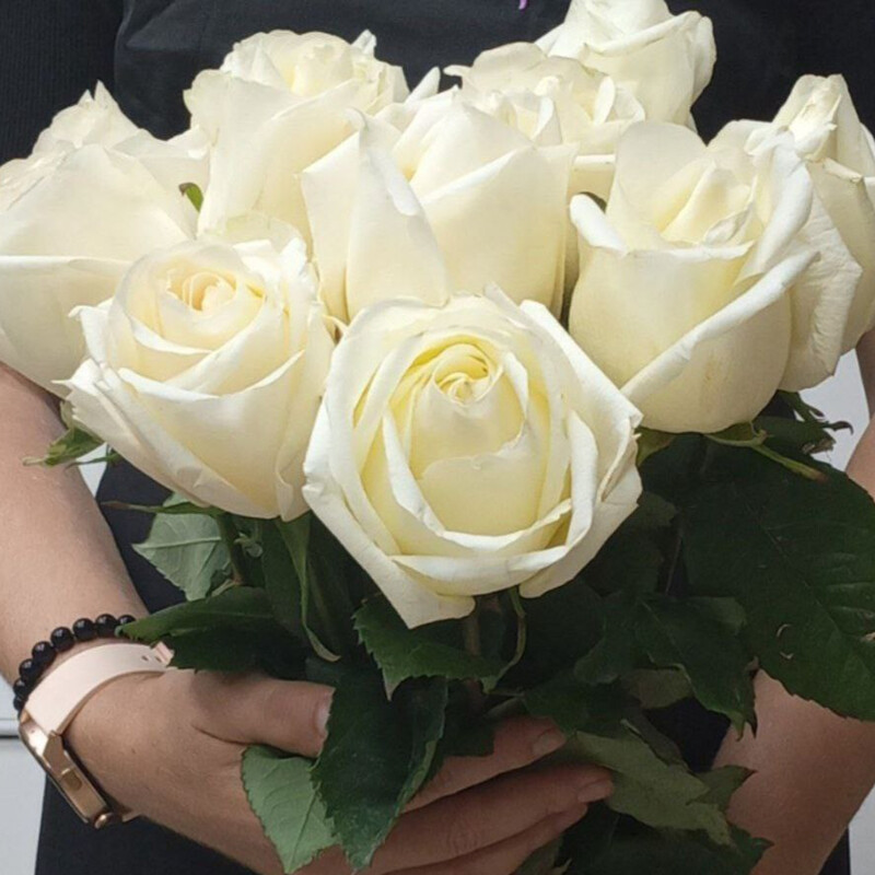 Вайт Шоколад(11шт.), стандартный