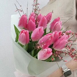 Тюльпаны/Гениста