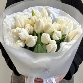 Белые тюльпаны(21шт.)