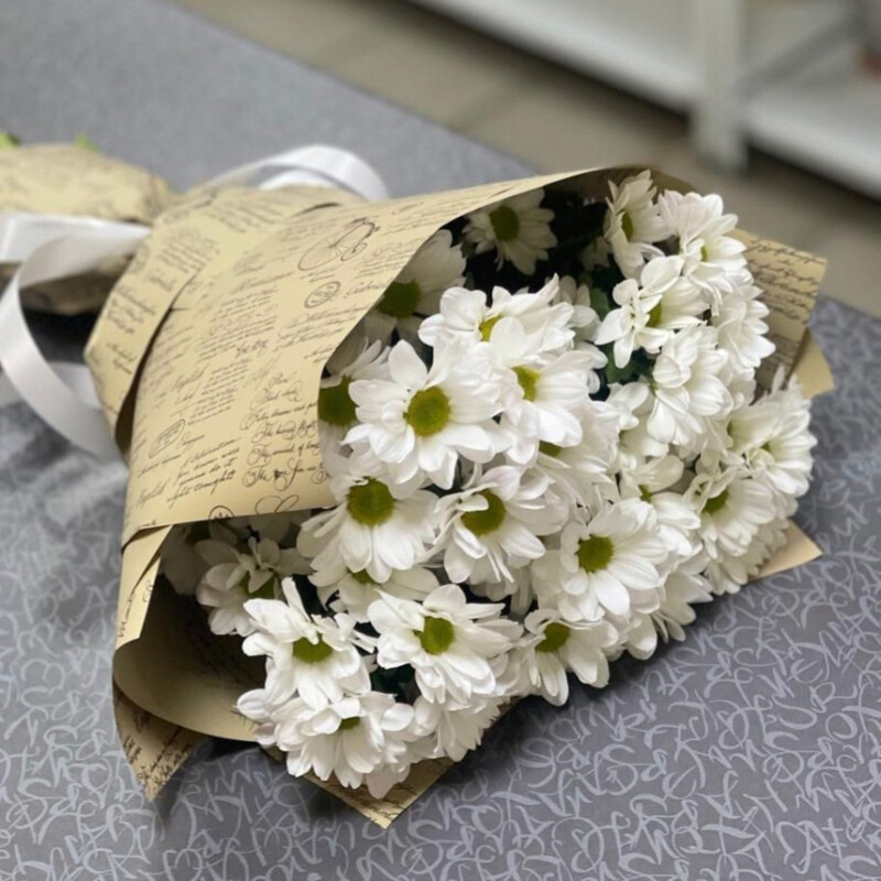 Бакарди, стандартный