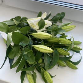 Лилии с Эвкалиптом