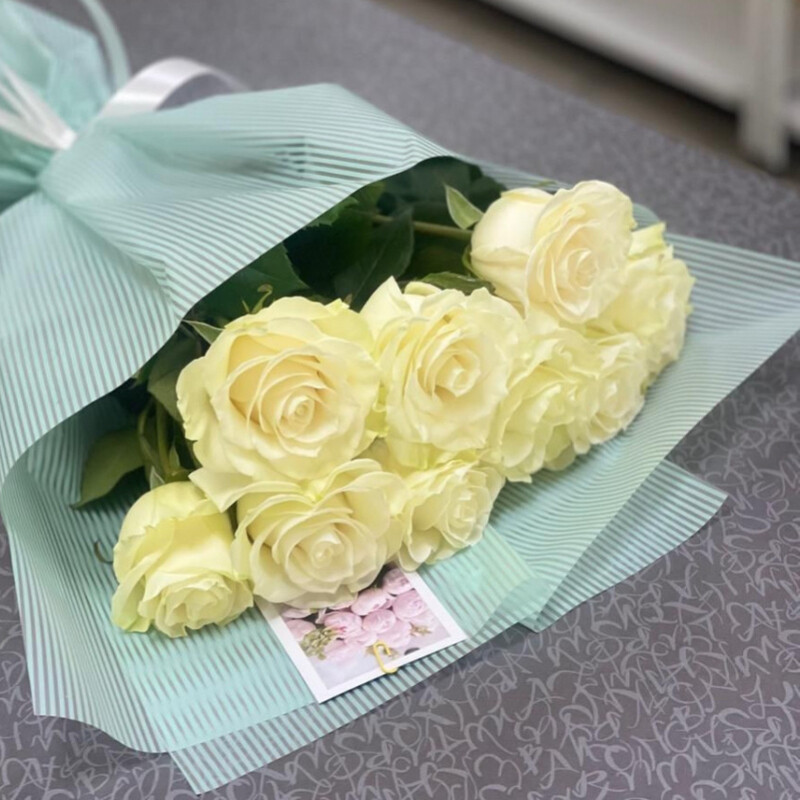 Belosnezhnoe CHudo, standart