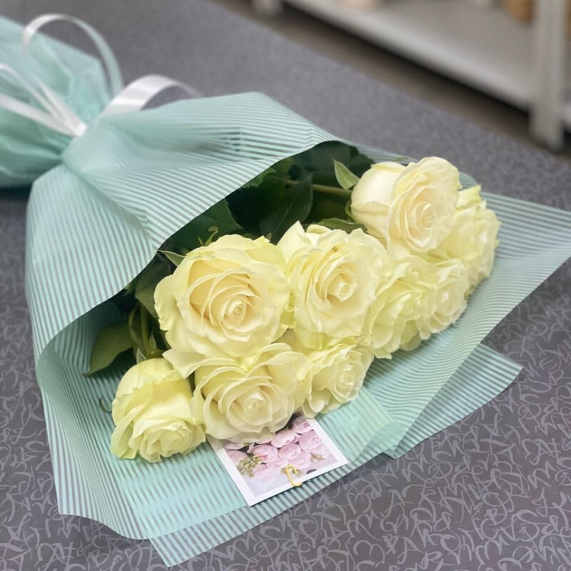 Belosnezhnoe CHudo, standart