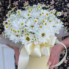 Ромашки в коробке