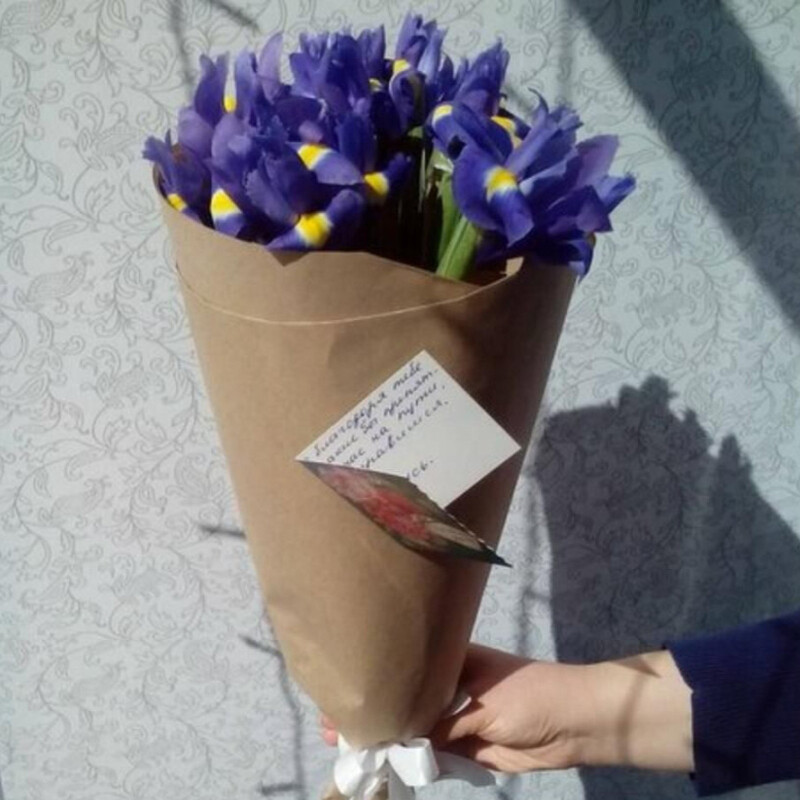 Ирис, стандартный