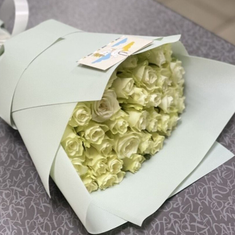 Belaya keniya(35sht.), standart