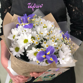 Ромашки с ирисами