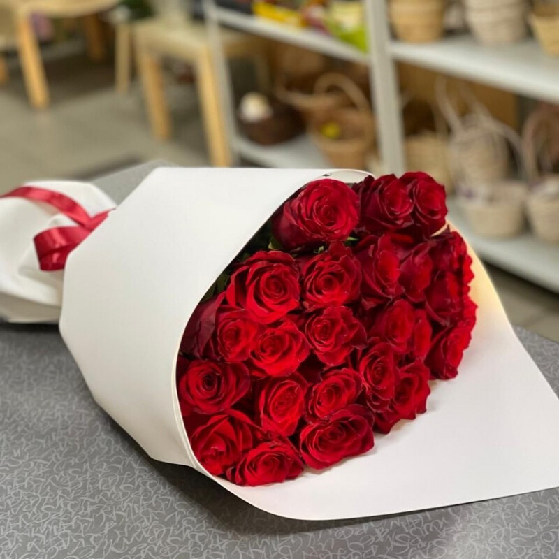 Elegantnaya Ledi, standart