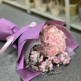 Gortenziya s mattioloj