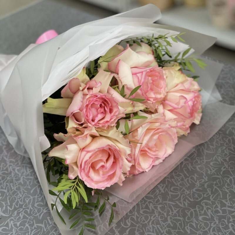 Франция(5шт.), стандартный