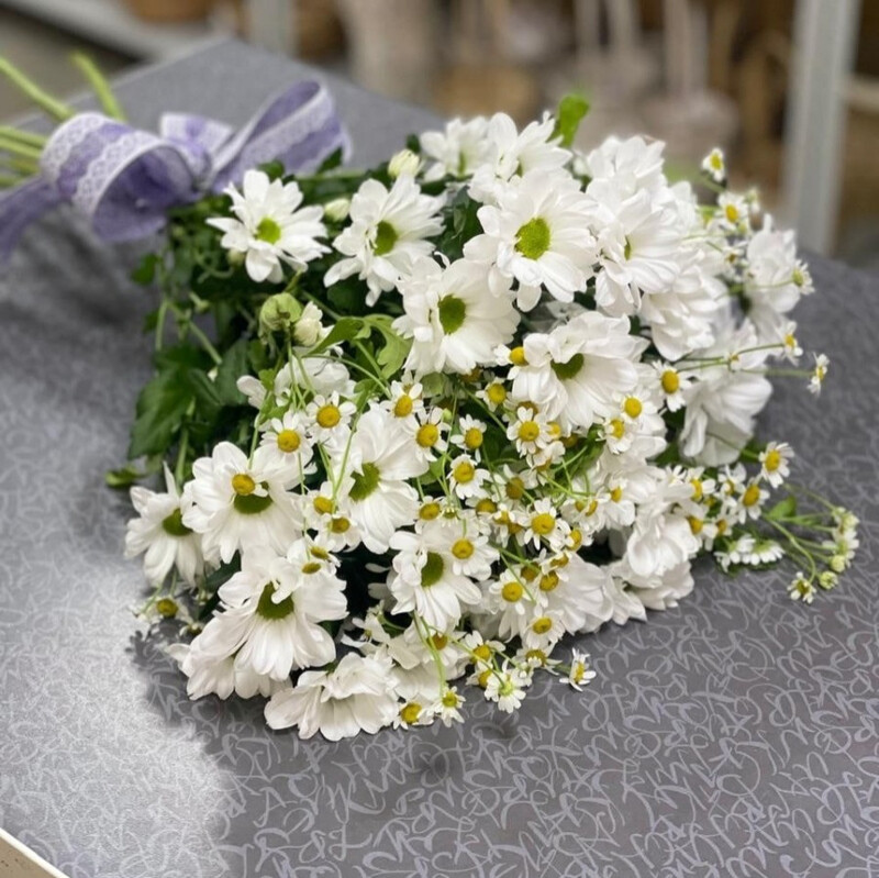 Letnij kompliment, standart