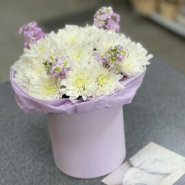  Chrysanthemum with mattiola in a box