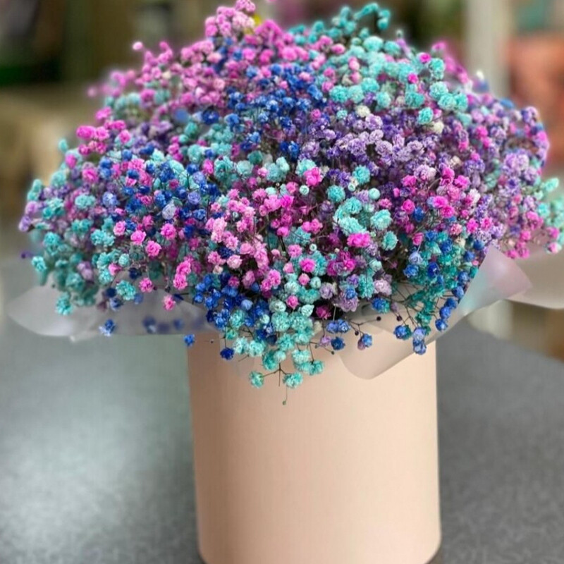 Korobochka s gipsofilloj, standart