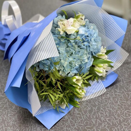 Gortenziya s al_stromeriej