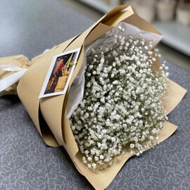 Гипсофила в крафте