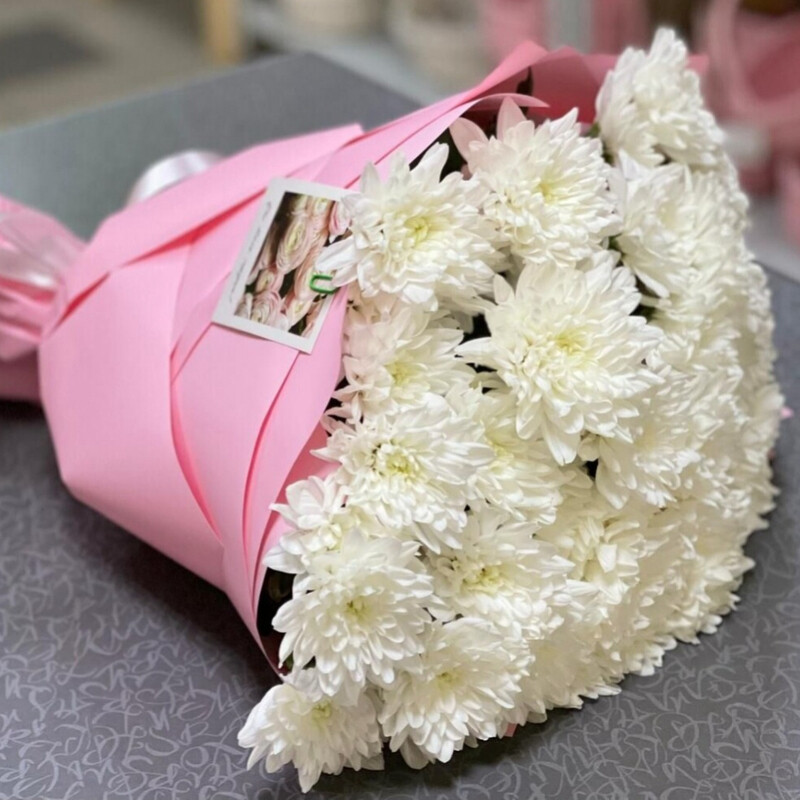 Baltika(7sht.), standart