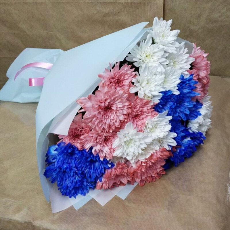 Hrizantema Miks(9sht.), standart