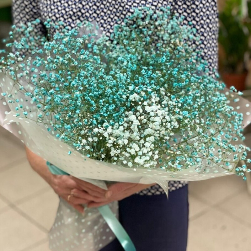 Мята, стандартный