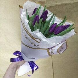 Tyul_pan fiolet.(7sht.)