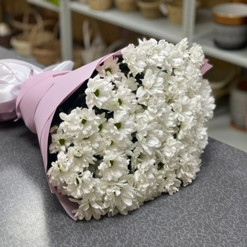 Ромашковое поле, стандартный