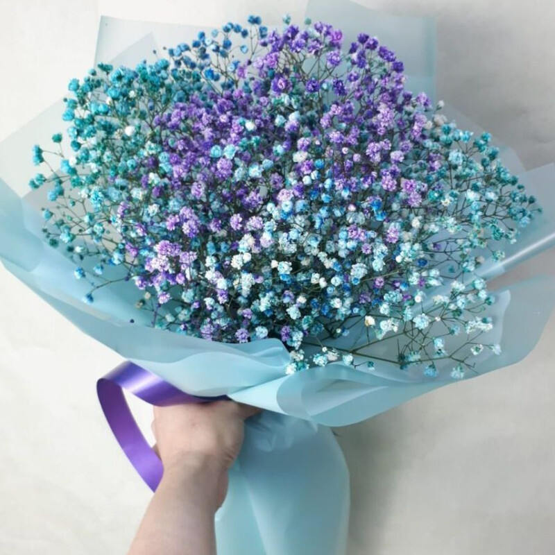 Морской Бриз, стандартный